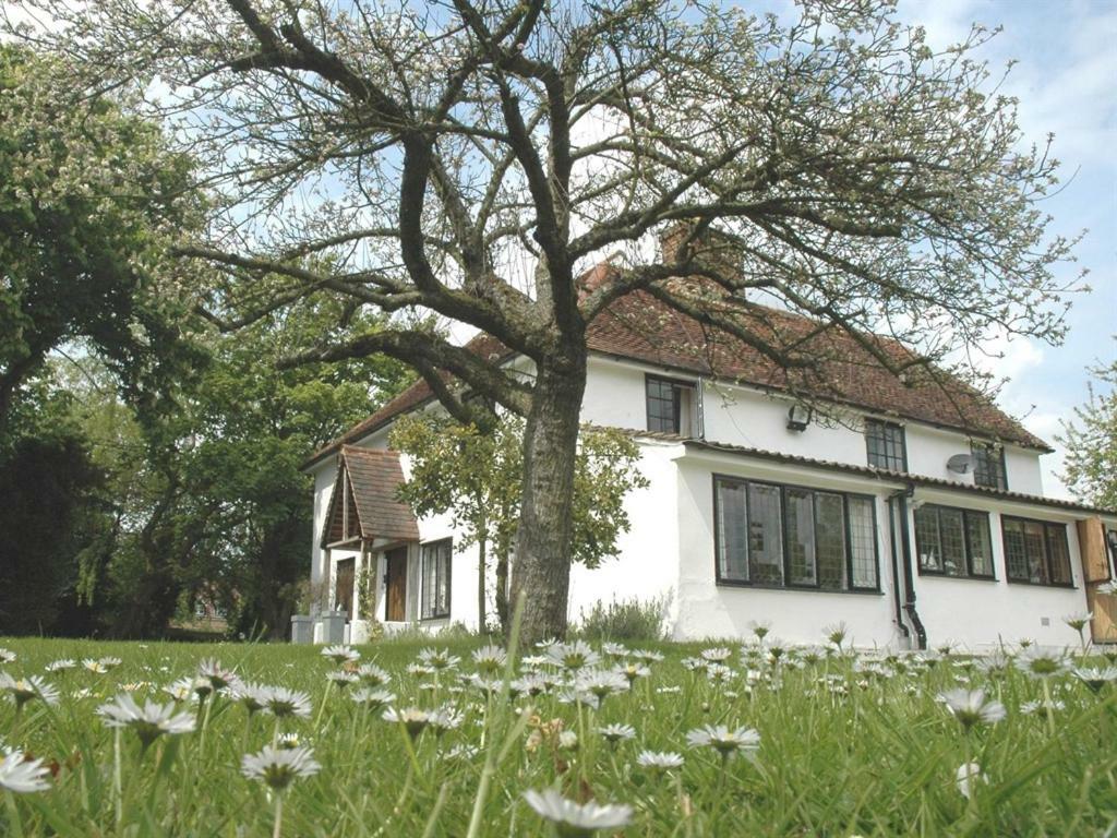 Bed and Breakfast The White House Takeley Pokoj fotografie